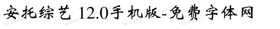 安托综艺 12.0手机版字体转换